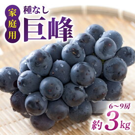 【ふるさと納税】【先行受付2026年発送】【さとのみ果樹園】家庭用種なし巨峰　約3kg（6～9房）※2026年9月上旬以降順次発送