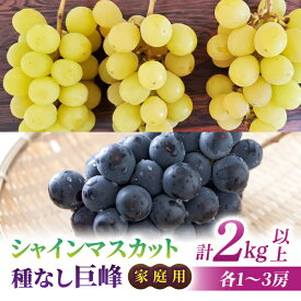 【ふるさと納税】【先行受付2026年発送】家庭用シャインマスカット＆種なし巨峰　合計2kg以上（各1～3房）｜さとのみ果樹園 ※2026年9月中旬以降上旬順次発送
