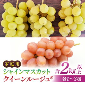 【ふるさと納税】【先行受付2026年発送】家庭用シャインマスカット＆クイーンルージュ(R)　合計2kg以上（各1～3房）｜さとのみ果樹園 ※2026年9月中旬以降順次発送