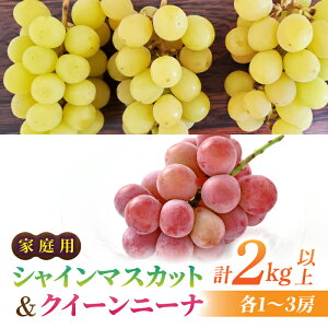 �y�ӂ邳�Ɣ[�Łz�y��s��t2026�N�����z�ƒ�p�V���C���}�X�J�b�g���N�C�[���j�[�i�@���v2kg�ȏ�i�e1�`3�[�j�b���Ƃ̂݉ʎ�����2026�N9�����{�`10�����{��������