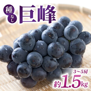 yӂ邳Ɣ[Łzyst2026NzyƂ̂݉ʎzVNIȂ@1.5kgi3`5[j2026N9{`10{