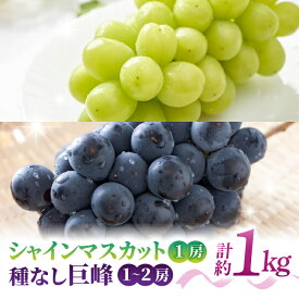 【ふるさと納税】【先行受付2026年発送】【さとのみ果樹園】シャインマスカット1房＆種なし巨峰1～2房（合計1kg以上）※2026年9月中旬～10月上旬順次発送