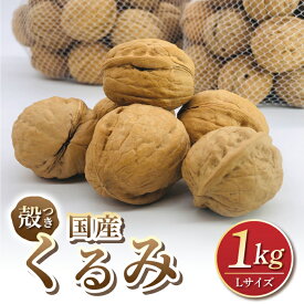 【ふるさと納税】【アルファーム】令和7年産信濃くるみ　殻付きタイプ（Lサイズ）※2025年11月下旬以降発送