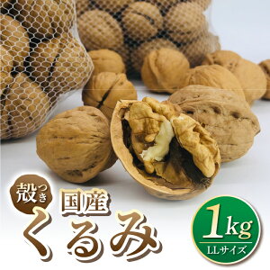 yӂ邳Ɣ[ŁzyAt@[zߘa7NYMZ݁@kt^CviLLTCYj2025N11{ȍ~