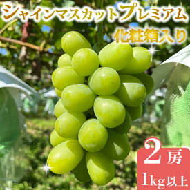 【ふるさと納税】【先行受付2026年発送】シャインマスカット プレミアム 2房1kg以上｜Jardin Omino　※2026年9月初旬~10月中旬に発送予定