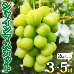 yӂ邳Ɣ[Łzyst2025Nz쌧sYVC}XJbg2kgȏi3`5[j2025N9{~10{\