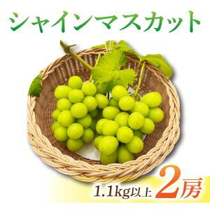 �y�ӂ邳�Ɣ[�Łz�y��s��t2026�N�����z���쌧����s�Y�V���C���}�X�J�b�g2�[�@1.1kg�ȏて2026�N9�����{�ȍ~��������