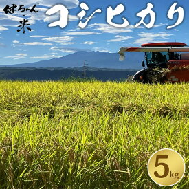 【ふるさと納税】米・食味鑑定分析コンクール特別優秀賞受賞！冷めても美味しい健ちゃんちの米（コシヒカリ）　5kg｜ライスファーム小林※2025年10月中旬以降発送予定