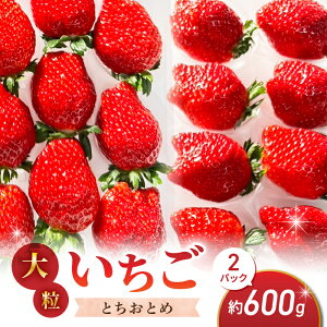 �y�ӂ邳�Ɣ[�Łz�嗱�I�c������̂������i�Ƃ����Ƃ߁j2�p�b�N�i600g�j�����p�b���n �H�ה�� � �C�`�S �t���[�c ���S �y�k�͔|��2026�N1����{�ȍ~�����\��