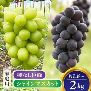 �y�ӂ邳�Ɣ[�Łz2026�N��s��t�y�������_���z�ƒ�p�~����Z�b�g�I�i�V���C���}�X�J�b�g�E�햳������j��2026�N9����{�ȍ~�����\��