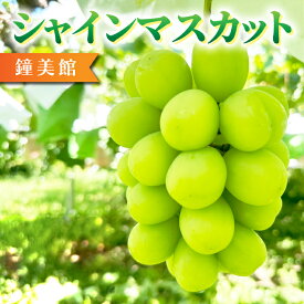 【ふるさと納税】【先行受付2026年発送】標高750mで育ったシャインマスカット｜鐘美館　※2026年10月上旬以降順次発送