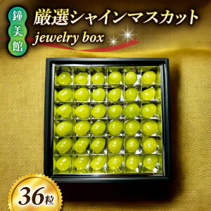 yӂ邳Ɣ[ŁzyفzW750mňIVC}XJbg jewelry boxi36j 2025N10{ȍ~