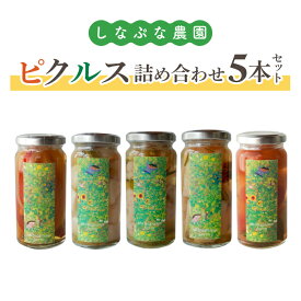 【ふるさと納税】【しなぷな農園】しなぷなピクルス詰め合わせ（5本セット）｜長野県 東御市 信州