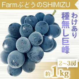 【ふるさと納税】【先行受付2026年発送】わけあり種無し巨峰約1kg（2～3房）｜清水農園　※2026年9月中旬以降発送予定※月曜日、金曜日の発送はお休み