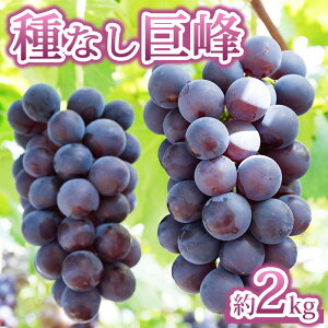 yӂ邳Ɣ[ŁzyGrape Farm KodairazȂ@2kgi4`6[j
