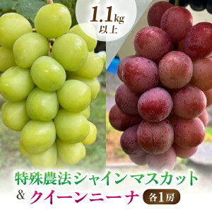 yӂ邳Ɣ[ŁzyMBԂǂz_@VC}XJbgNC[j[iAe1[i1.1kgȏjp