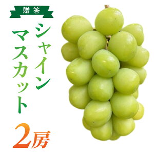 yӂ邳Ɣ[ŁzyMBԂǂz_@VC}XJbg2[i1.1kgȏjp