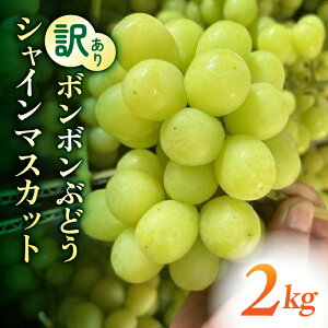 yӂ邳Ɣ[ŁzyMBԂǂzA{{ԂǂIVC}XJbgՂ2kg