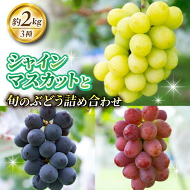 【ふるさと納税】2026年先行受付【若林農園】シャインマスカットと旬の3種のぶどう詰め合わせセット 約2kg｜シャインマスカット、クイーンニーナ、クイーンルージュ(R)、シナノスマイル、種なし巨峰、ナガノパープル、雄宝など 3～5房(3種)※2026年9月中旬～10月中旬順次発送