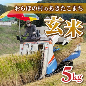 �y�ӂ邳�Ɣ[�Łz�y�c�򂨂�ّ��zR7�N�Y�V�āI���������܂��@����5kg�@��2025�N11�����{�ȍ~�����\��