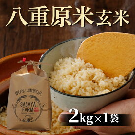 【ふるさと納税】八重原米 玄米 2kg (2kg×1袋) お米 コシヒカリ白米 美味しい 甘い 長野県東御市