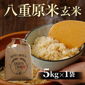 【ふるさと納税】八重原米 玄米 5kg (5kg×1袋) お米 コシヒカリ白米 美味しい 甘い 長野県東御市