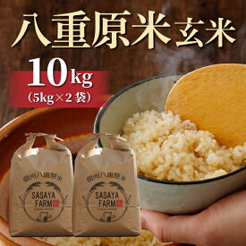 【ふるさと納税】八重原米 玄米 10kg お米 コシヒカリ白米 美味しい 甘い 長野県東御市