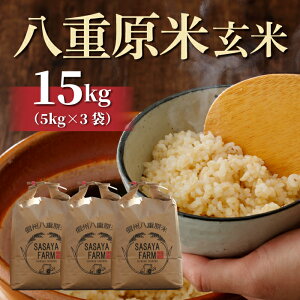 yӂ邳Ɣ[Łzߘa7NVė\Id15kgi5kg×3܁jā@2025N10ȍ~b_u_팸쌧F؎擾v