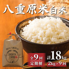 【ふるさと納税】（9回定期便）八重原米 精米 2kg (2kg×1袋) お米 コシヒカリ白米 美味しい 甘い 長野県東御市