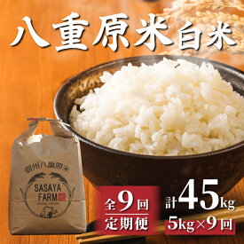 【ふるさと納税】（9回定期便）八重原米 精米 5kg (5kg×1袋) お米 コシヒカリ白米 美味しい 甘い 長野県東御市