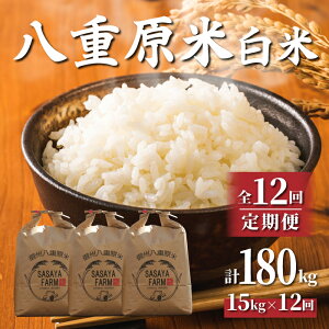 yӂ邳Ɣ[Łzߘa7NVė\yցzd15kgi5kg×3܁jā@2025N10ȍ~b_u_팸쌧F؎擾v