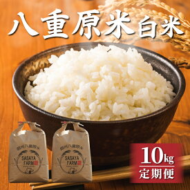 【ふるさと納税】令和7年新米予約【定期便】八重原米10kg（5kg×2袋）白米　※2025年10月以降順次発送｜笹屋農園