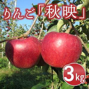 yӂ邳Ɣ[ŁzsY񂲒쌧IWiiuHfv3kg 9{`10{남͂\ ь ʕ  t[c Mtg Gߏi ƒp p 퉷 Â  MB