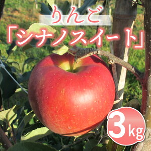 yӂ邳Ɣ[ŁzsY񂲒쌧IWiiuVimXC[gv3kg 10{`11{남͂\ ь ʕ  t[c Mtg Gߏi ƒp p 퉷 Â 