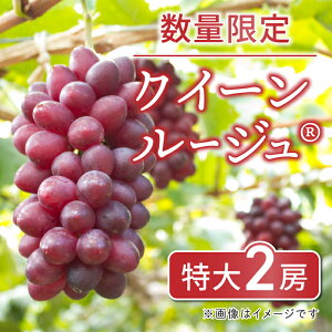 �y�ӂ邳�Ɣ[�Łz�y��s��t2026�N�����z���ʌ���I�N�C�[�����[�W��(R) ����2�[�@��7�����{�`8����{������