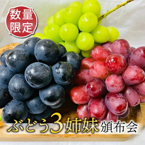 �y�ӂ邳�Ɣ[�Łz�y���ʌ���E3�����ցz�Ԃǂ�3�o���i�N�C�[�����[�W���A�i�K�m�p�[�v���A�V���C���}�X�J�b�g�j�Еz��