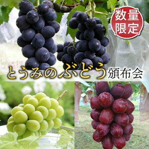 �y�ӂ邳�Ɣ[�Łz�y���ʌ���E3�����ցz�Ƃ��݂̂Ԃǂ��Еz��i�N�C�[�����[�W���A��Ȃ�����A�V���C���}�X�J�b�g�j