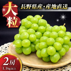 【ふるさと納税】【先行受付2026年発送】シャインマスカット2房【9月中旬以降お届け】 長野県 長野 東御 人気 ぶどう 贈答用 ギフト 2房 フルーツ 果物 おすすめ 厳選 種無し 皮ごと 大粒