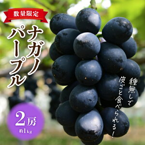 �y�ӂ邳�Ɣ[�Łz�y��s��t2026�N�����z����s�Y�i�K�m�p�[�v��2�[�i��1kg�j�y8�����{�`9�����{�����z| ���쌧 ���� �l�C �Ԃǂ� �����p �M�t�g 2�[ �t���[�c �ʕ� �������� ���I �햳�� �炲