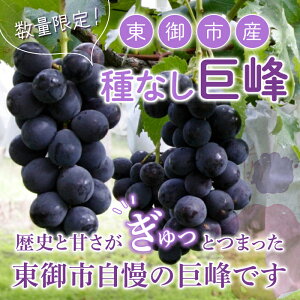 �y�ӂ邳�Ɣ[�Łz�y��s��t2026�N�����z����s�Y ��Ȃ�������2kg�i4�`5�[�j�@��9����{�`10����{���͂� | ���쌧 ���� �l�C �Ԃǂ� �����p �M�t�g 2kg ��s�\�� �t���[�c �ʕ� �������� ���I 