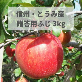 【ふるさと納税】東御市産りんご 約3kg（ふじ） ※11月下旬～12月中旬頃に順次発送予定