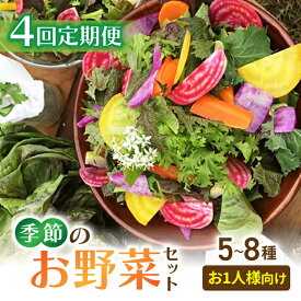 【ふるさと納税】【4回定期便】お試し季節のお野菜セット（お一人様向け）｜アグロノーム※2026年1月以降発送