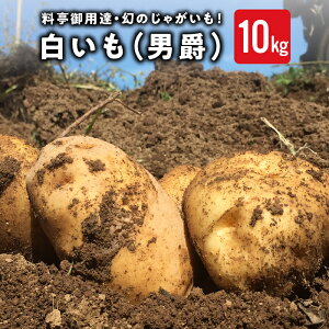 yӂ邳Ɣ[Łzyst2025NzpBIsY10kg@qd_bႪyʌz2025N8{`10{ɏ\聦ws