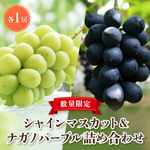 �y�ӂ邳�Ɣ[�Łz�y��s��t2026�N�����z����s�Y�V���C���}�X�J�b�g���i�K�m�p�[�v�� ��8�����{�`9�����{������ | ���쌧 ���� �l�C �Ԃǂ� �����p �M�t�g 2�[ �t���[�c �ʕ� �������� ���I 