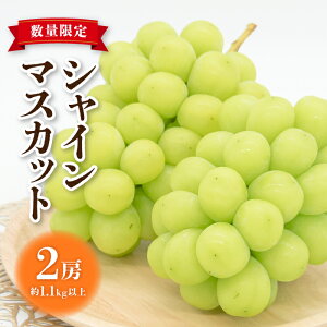 yӂ邳Ɣ[Łzi2025NstjsY VC}XJbg 2[i9{菇j Ԃǂ  }XJbg ƒp  Mtg t[c ʕ Â  Y M