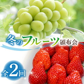 【ふるさと納税】とうみの果物　冬のフルーツ頒布会（2回コース） 冬出しシャインマスカットといちごの頒布会 | 長野県 長野 東御市 人気 ぶどう 贈答用 ギフト 2房 冬 フルーツ 果物 おすすめ 厳選 種無し 皮ごと 定期便 とちおとめ