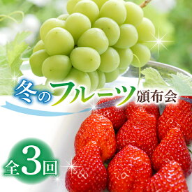 【ふるさと納税】とうみの果物　冬のフルーツ頒布会（3回コース）冬出しシャインマスカットといちごの頒布会 | 長野県 長野 東御市 人気 ぶどう 贈答用 ギフト 2房 冬 フルーツ 果物 おすすめ 厳選 種無し 皮ごと 定期便 とちおとめ