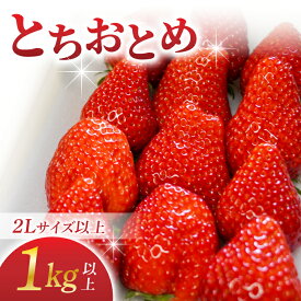 【ふるさと納税】【BERRY PLANTS FACTORY】東御市産とちおとめ1kg以上