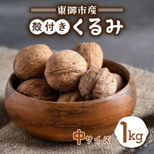 【ふるさと納税】信濃くるみ 殻付き(中サイズ)【長野県東御市産ブランド】NHKでも紹介♪ 令和7年産 新物 国産※2025年11月中旬以降発送(月、火、金曜日発送限定、曜日、日付指定不可)