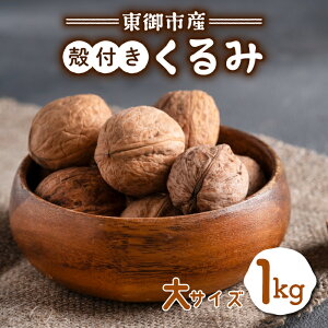 【ふるさと納税】信濃くるみ 殻付き(大サイズ)【長野県東御市産ブランド】NHKでも紹介♪ 令和7年産 新物 国産※2025年11月中旬以降発送(月、火、金曜日発送限定、曜日、日付指定不可)